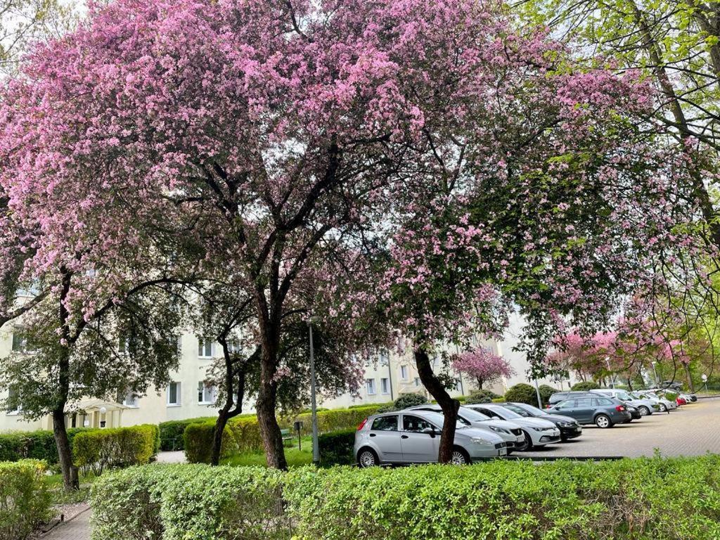 Apartament Rataja50 Olsztyn  Buitenkant foto